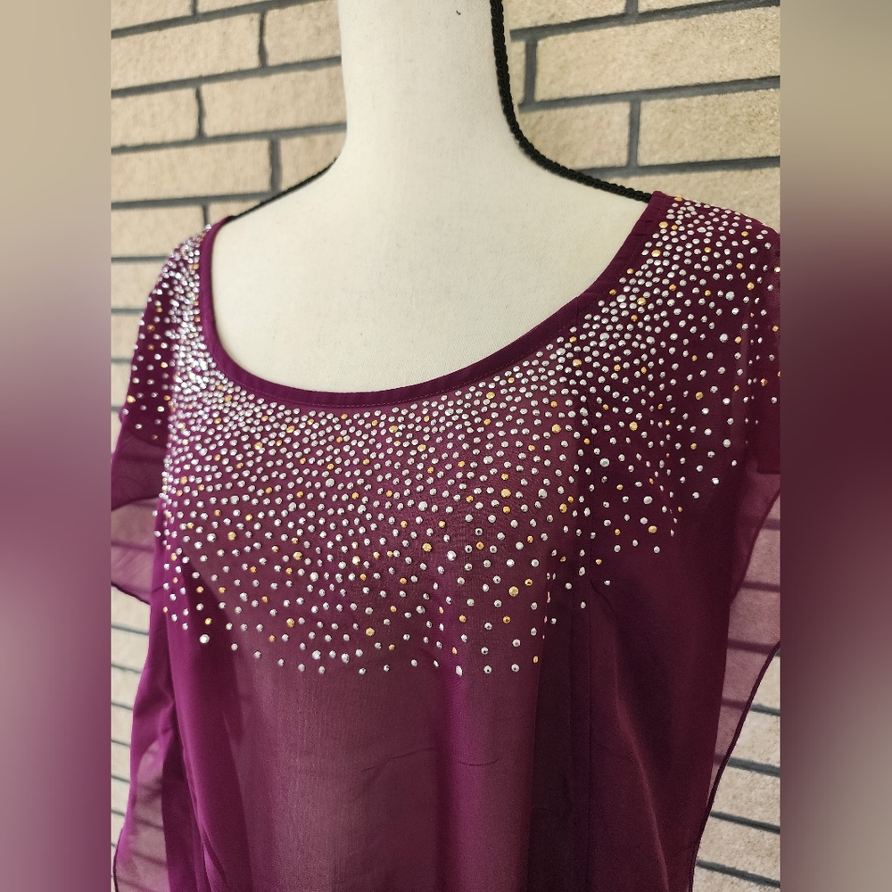 Lane Bryan Sheer Blouse 14/16W - Picture 6 of 11